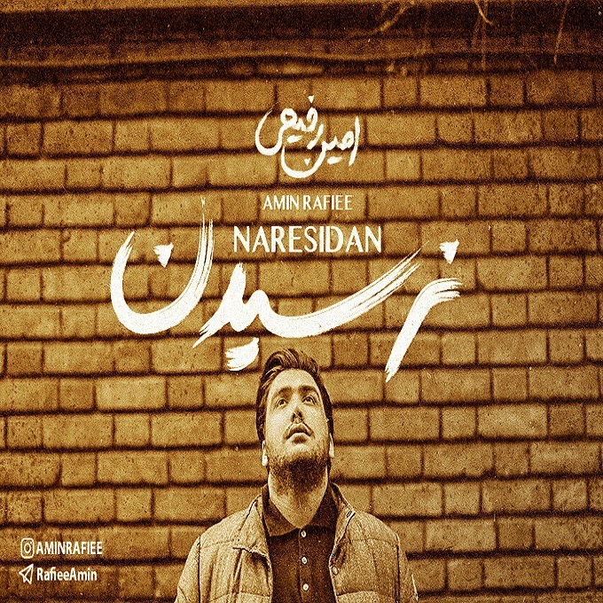 Amin Rafiee – Naresidan