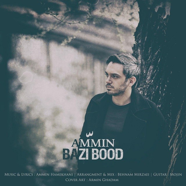 Ammin Hamekhani – Bazi Bood