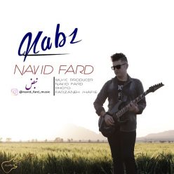 Navid Fard – Nabz