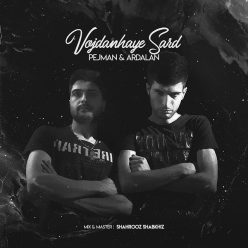 Pejman & Ardalan – Vojdanhaye Sard