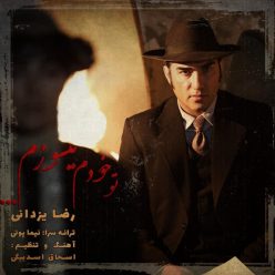 Reza Yazdani – Too Khodam Misoozam