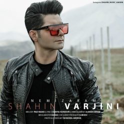 Shahin Varjini – Nemizaram