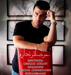 Player Cover