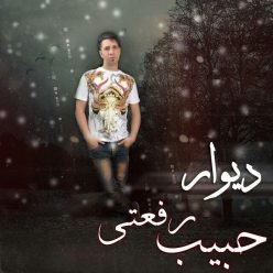Habib Rafati – Divar