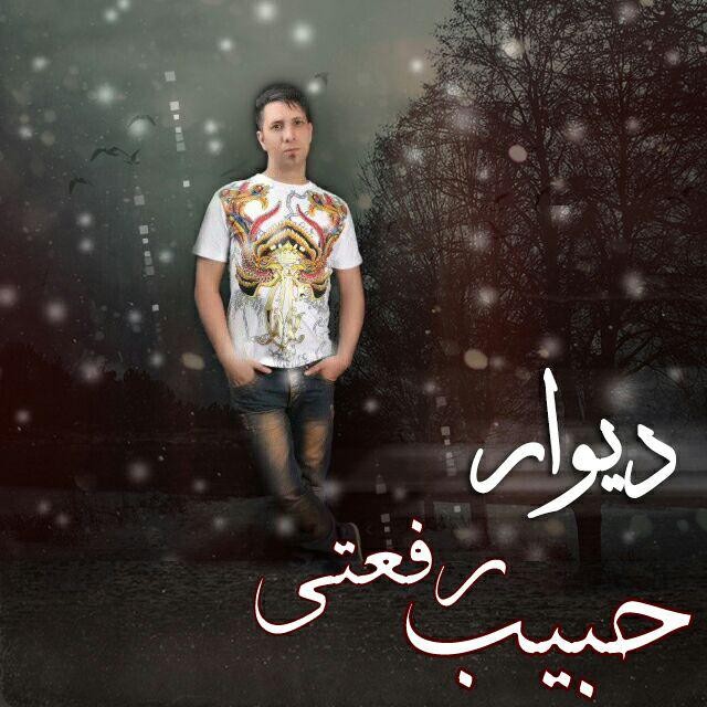 Habib Rafati – Divar