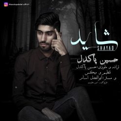 Hosein Pakdel – Shayad