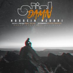 Hossein Negari – Damn
