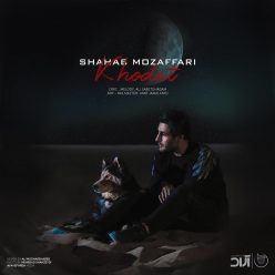 Player Cover