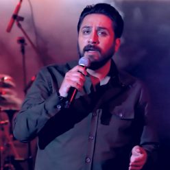 Roozbeh Bemani – Shelik (Live)