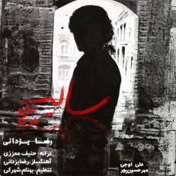 Player Cover