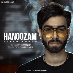دانلود آهنگ سعید منعم چقدر خفنی