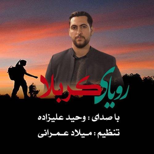 Vahid Alizadeh – Royaye Karbala