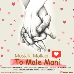 Mostafa Mollaei – To Male Mani
