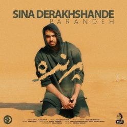 Player Cover