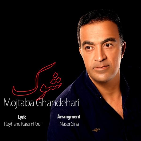 Mojtaba Ghandehari – Shok