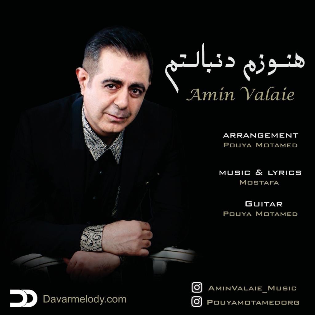 Amin Valaie – Hanozam Donbaletam