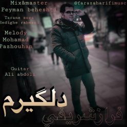 دانلود آهنگ فراز شریفی دلگیرم