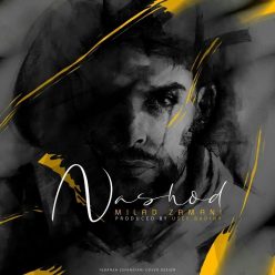 Milad Zamani – Nashod
