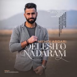 دانلود آهنگ مهدی عسگری دلشو ندارم