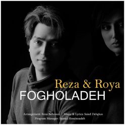 Reza Roya – Fogholadeh