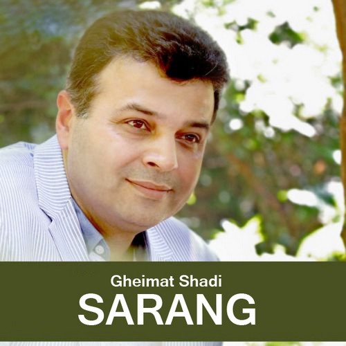دانلود آهنگ سارنگ قیمت شادی