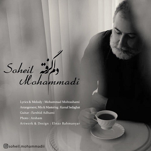 Soheil Mohammadi  – Delam Gerefte