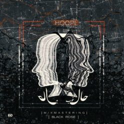 Hooman Hoopi – Hale Khoob Hale Bad