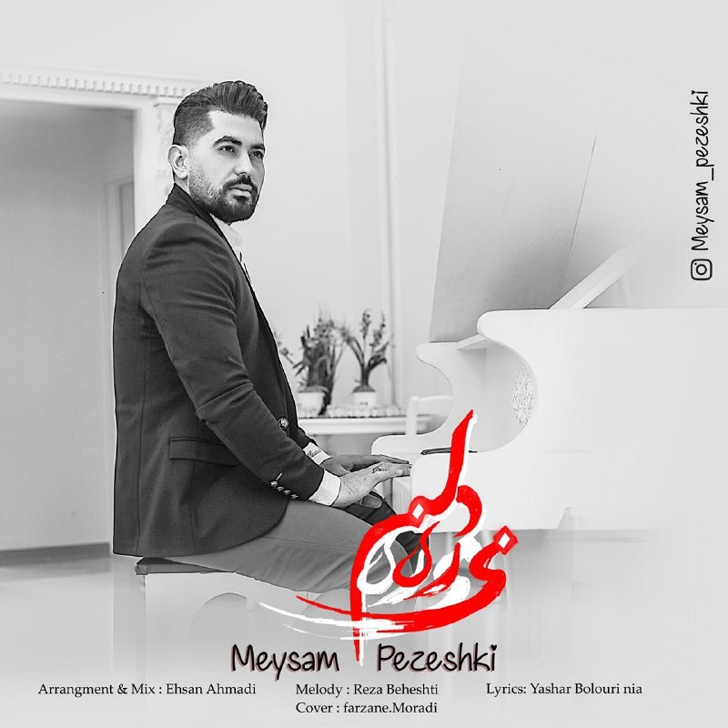 Meysam Pezeshki – Delam Mire