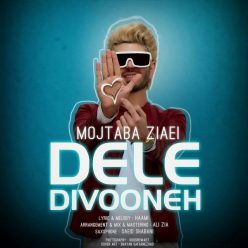 Mojtaba Ziaei – Dele Divooneh