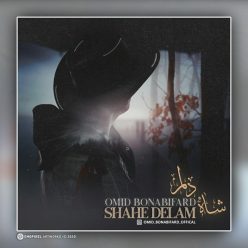 Omid Bonabi Fard – Shahe Delam