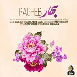 Player Cover