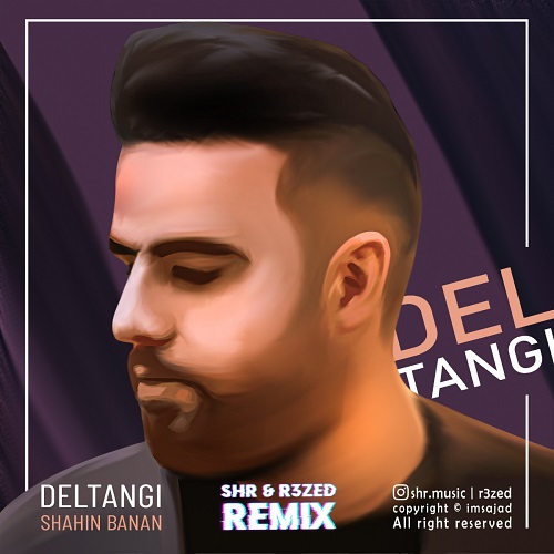 Shahin Banan – Deltangi (SHR & R3ZED Remix)