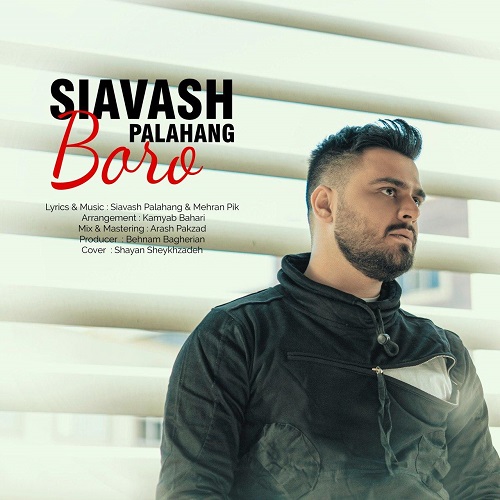 Siavash Palahang  – Boro