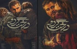« درخت گردو » در مسیر اسکار