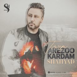 Shahyad – To Ro Arezoo Kardam