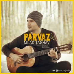 Milad Taghavi – Parvaz