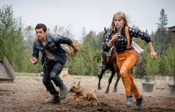 فیلم Chaos Walking دوباره به تعویق افتاد؛ تاریخ اکران جدید Green Knight مشخص شد