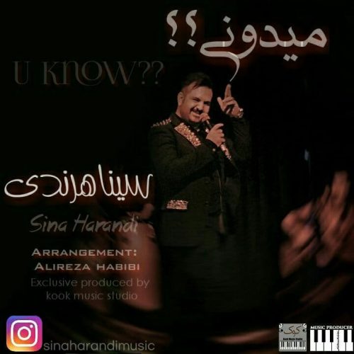 Sina Harandi –  Midoni