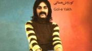 آهنگ «گل یخ» از کوروش یغمایی