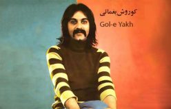آهنگ «گل یخ» از کوروش یغمایی