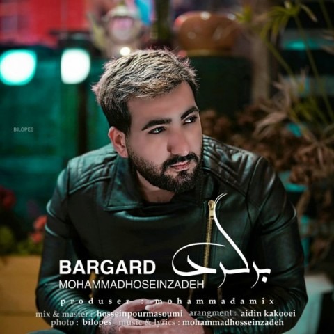 دانلود آهنگ محمد حسین زاده برگرد با کیفیت 320