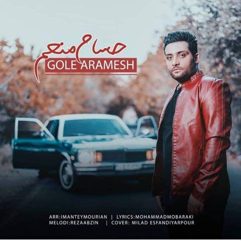دانلود آهنگ حسام منعم گل آرامش