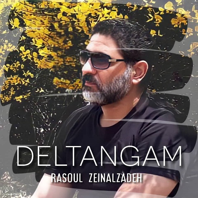 دانلود آهنگ رسول زینال زاده دلتنگم