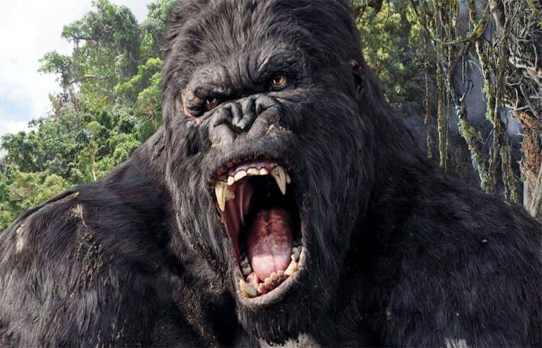 ساخت سریال لایو-اکشن King Kong توسط دیزنی+