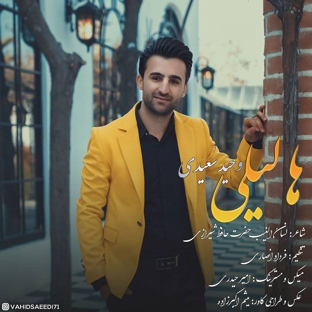 دانلود آهنگ وحید سعیدی ها لیلی