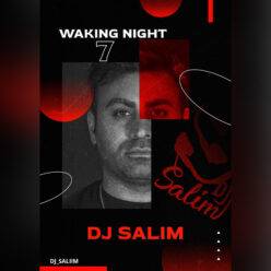 دانلود پادکست دیجی سلیم Waking Night 7