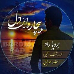 دانلود آهنگ بردیا راد بیچاره این دل