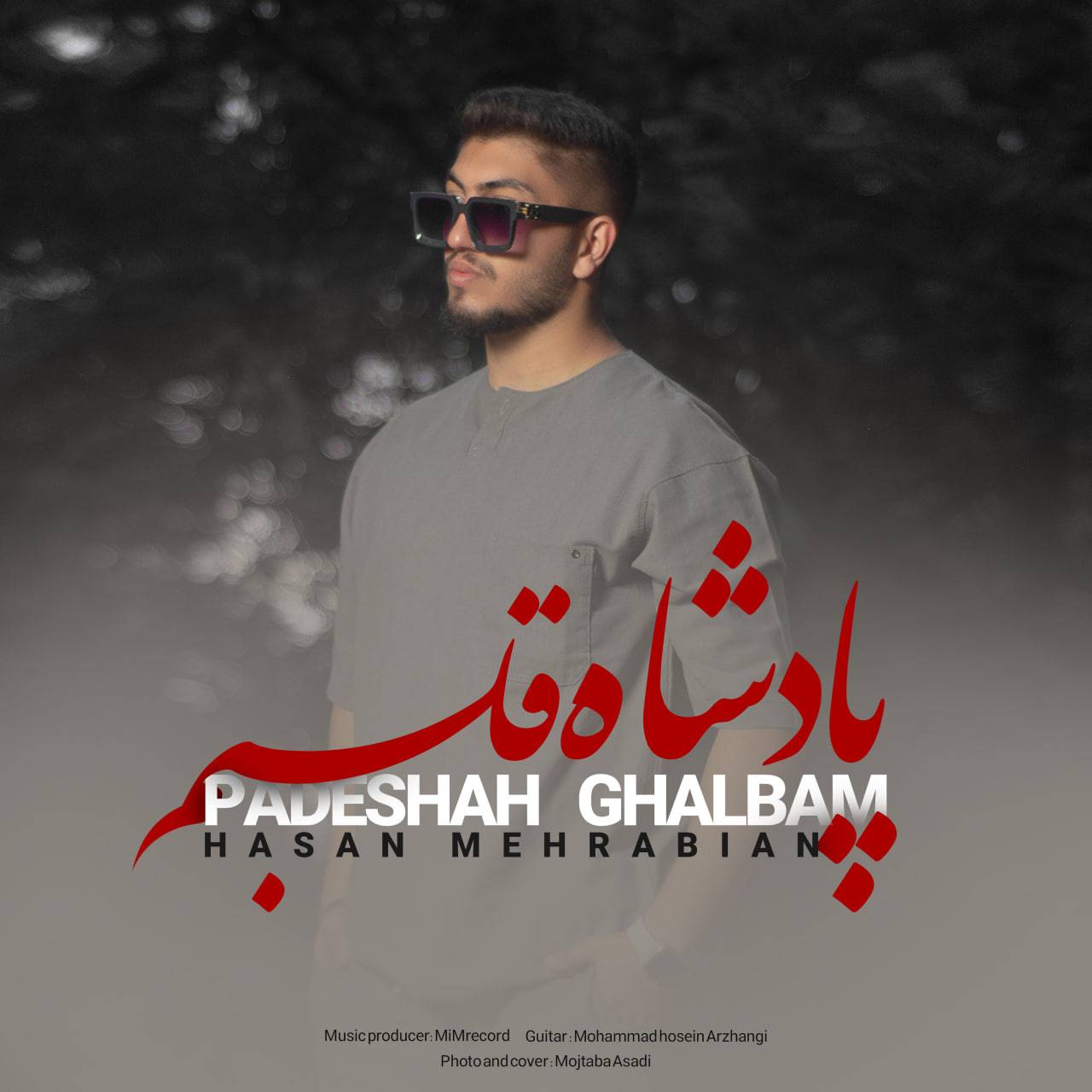 دانلود آهنگ حسن مهرابیان پادشاه قلبم