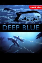 Player Cover