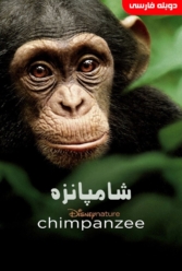 دانلود فیلم شامپانزه